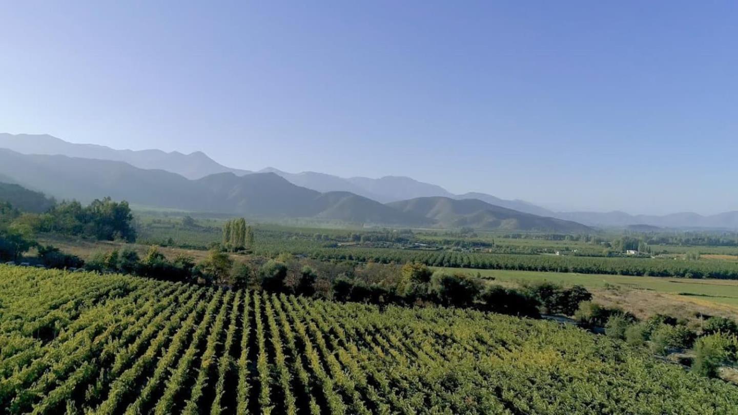 Vina Lof - Maipo Valley Bed & Breakfast In Winery Paine Dış mekan fotoğraf