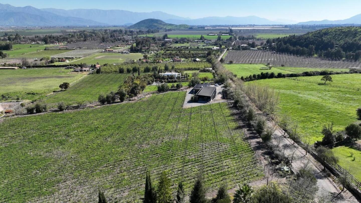 Vina Lof - Maipo Valley Bed & Breakfast In Winery Paine Dış mekan fotoğraf