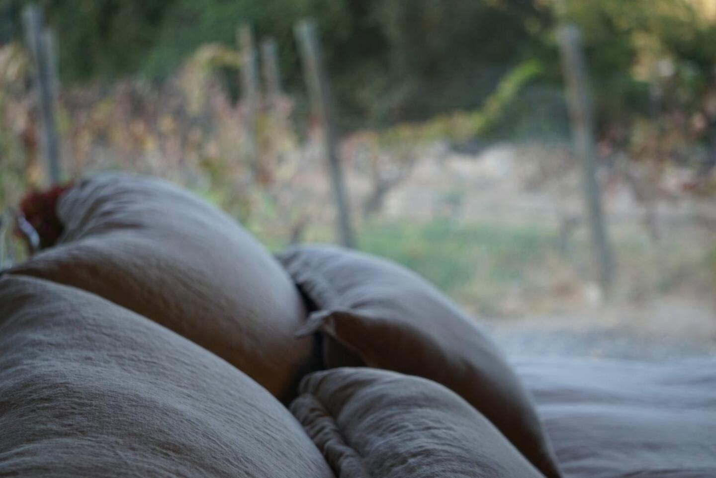 Vina Lof - Maipo Valley Bed & Breakfast In Winery Paine Dış mekan fotoğraf