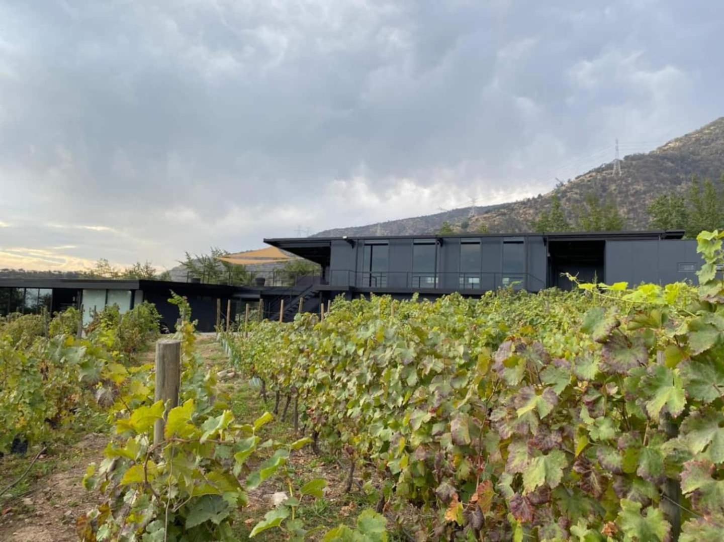 Vina Lof - Maipo Valley Bed & Breakfast In Winery Paine Dış mekan fotoğraf