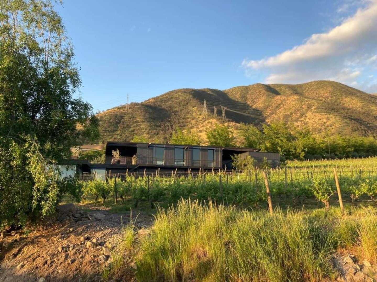 Vina Lof - Maipo Valley Bed & Breakfast In Winery Paine Dış mekan fotoğraf